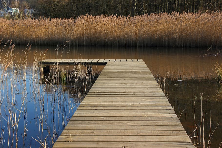 web, lake, water, waters, nature, jetty, mood, boardwalk, plant HD wallpaper