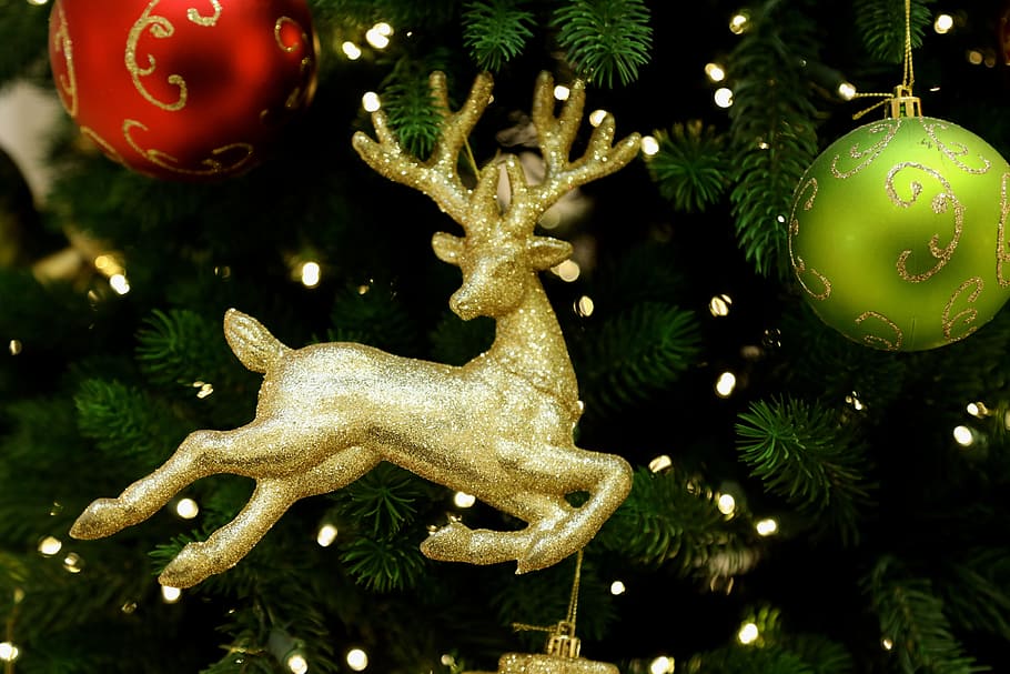 Christmas, Cologne, december, christmas tree, christmas decoration HD wallpaper