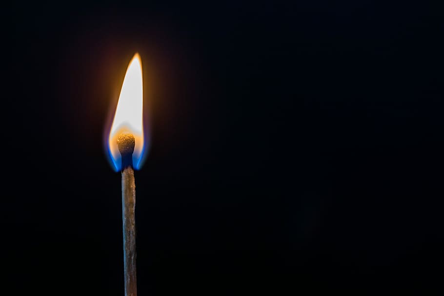 match, burns, fire, matches, tree, flame, burning, fire - natural phenomenon HD wallpaper