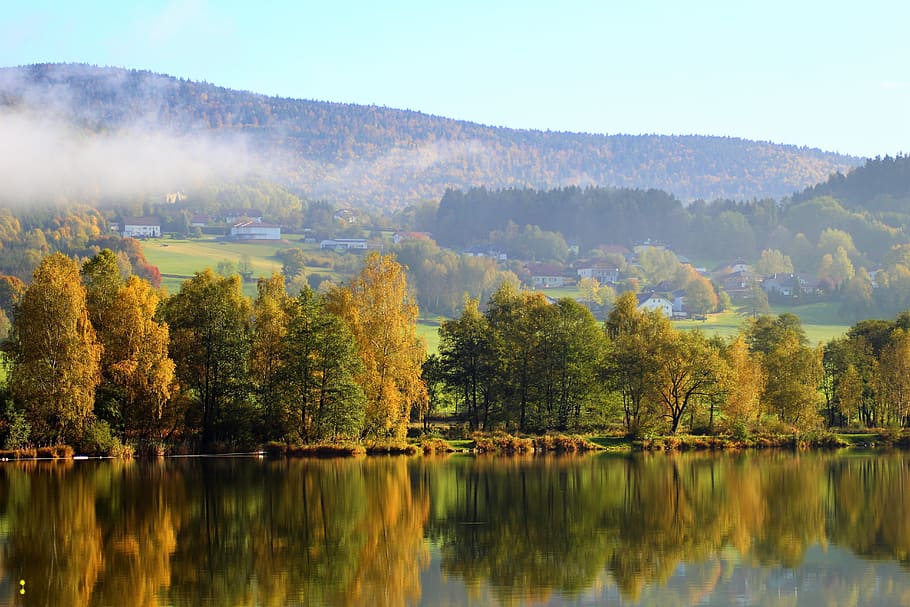 calm body of water, klaffer, autumn, tree, deciduous forest HD wallpaper