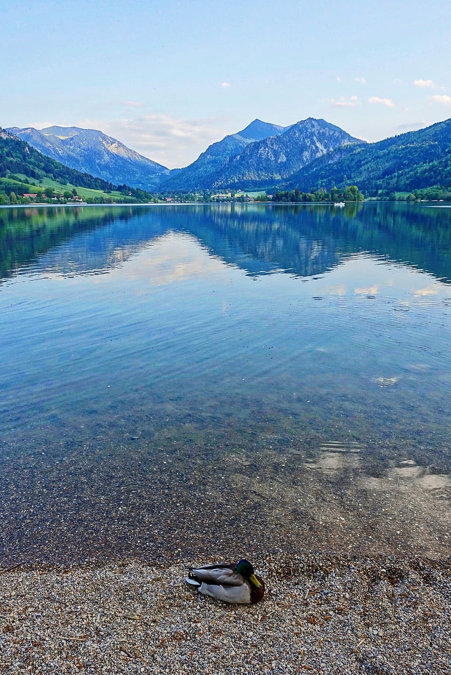 Reflection, Lake, Water, Landscape, scenery, tranquil, nature HD wallpaper