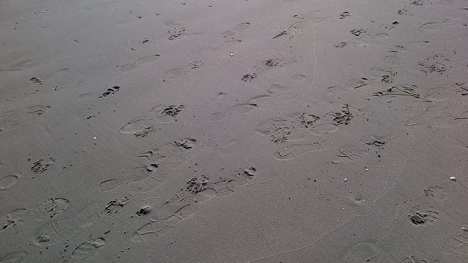 traces, footprints, beach, land, sand, nature, high angle view HD wallpaper