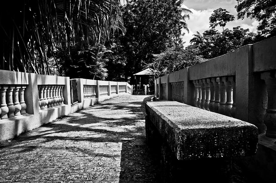 bank, path, black And White, nature, tree, architecture, built structure HD wallpaper