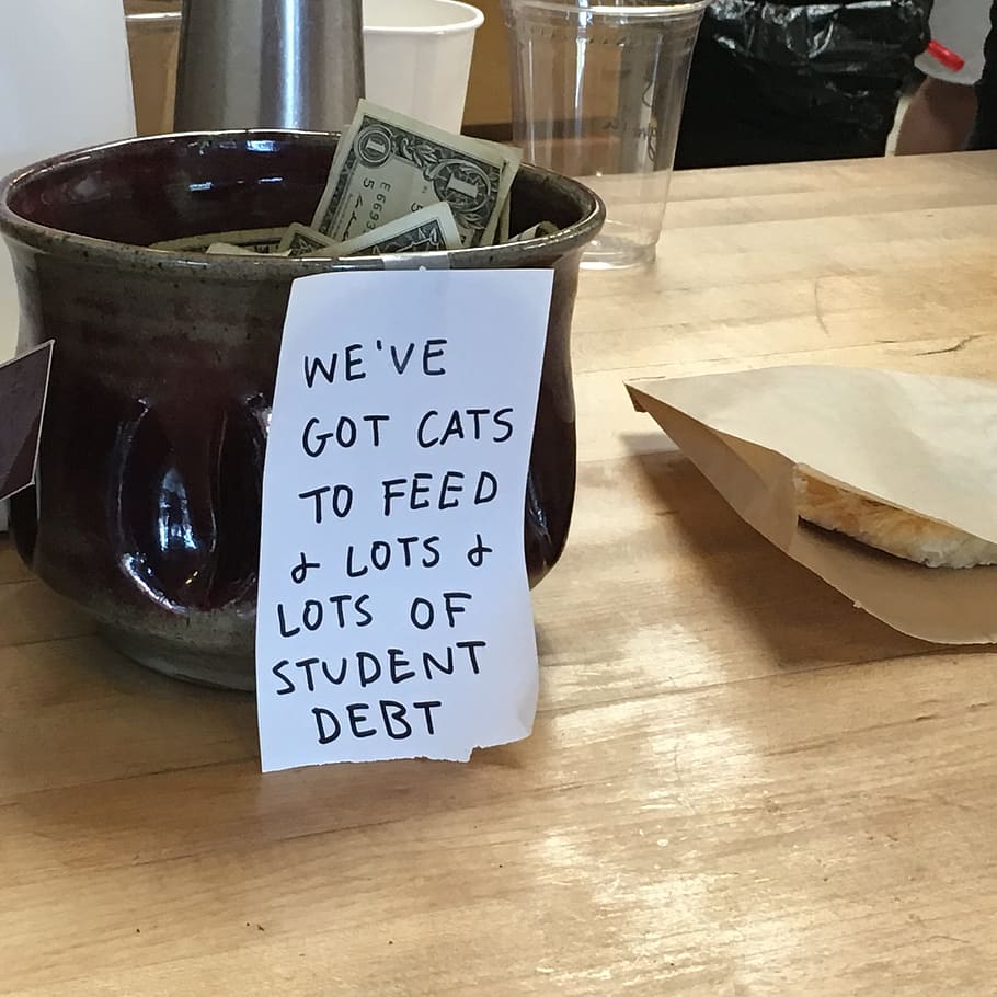 we'eve got cats to feed wrote on paper, Tip Jar, Coffeeshop HD wallpaper