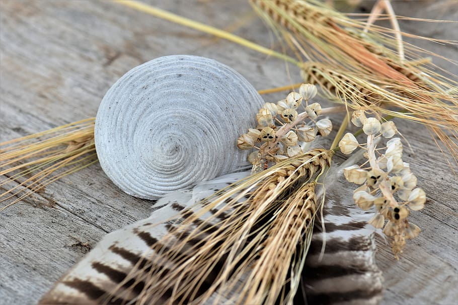 Deco, Decoration, Table, table decorations, decorative, feather HD wallpaper