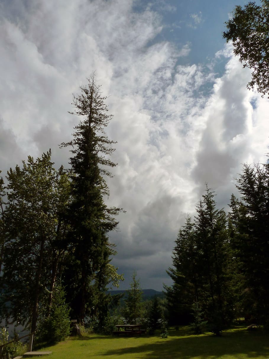 thunderstorm, towering cumulus, clouds, windy, landscape, nature HD wallpaper