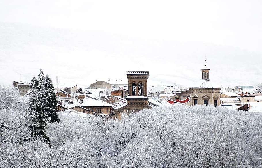 Cold, Snow, Winter, Nature, Trees, forest, cathedral, environment HD wallpaper