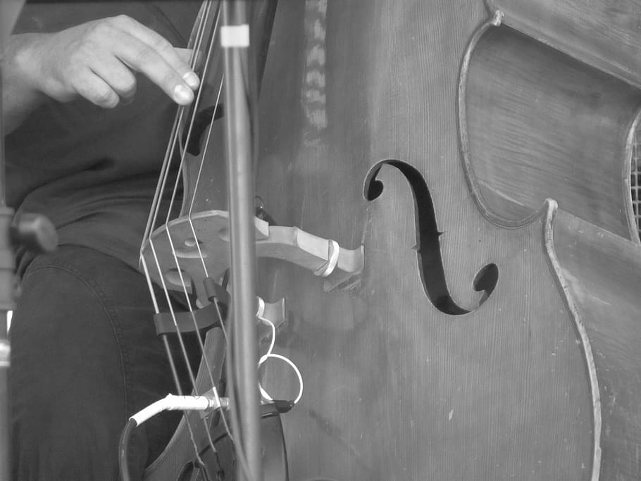 grayscale person playing string guitar, double bass, music, jazz, HD wallpaper