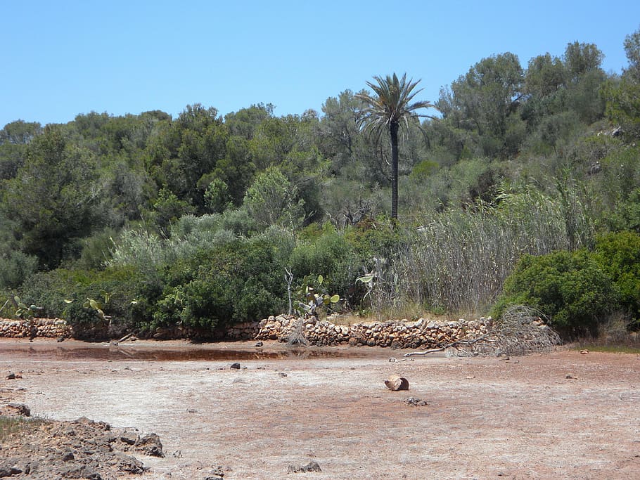 river, riverbed, dehydrated, mediterranean, flora, landscape HD wallpaper