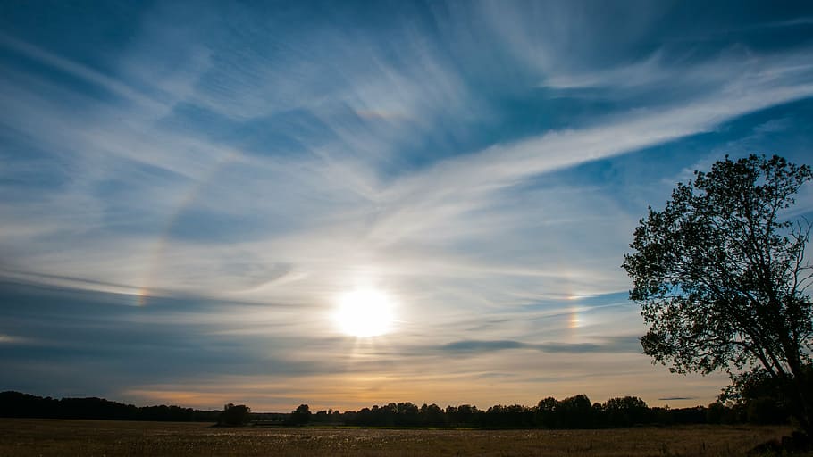 brown field under white sky, nature, sunset, solfenomen, tree HD wallpaper