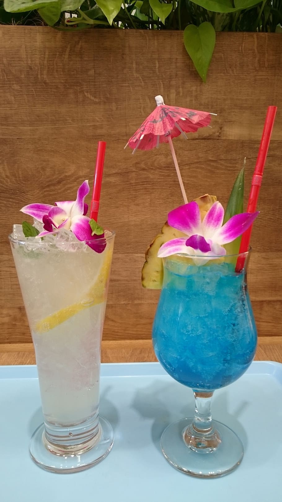 Drink, Tropical, Juice, cocktail, refreshment, drinking glass HD wallpaper