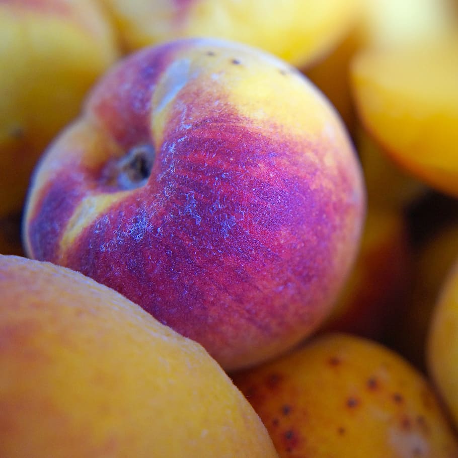 fruit, peach, summer, summer fruit, food and drink, healthy eating HD wallpaper