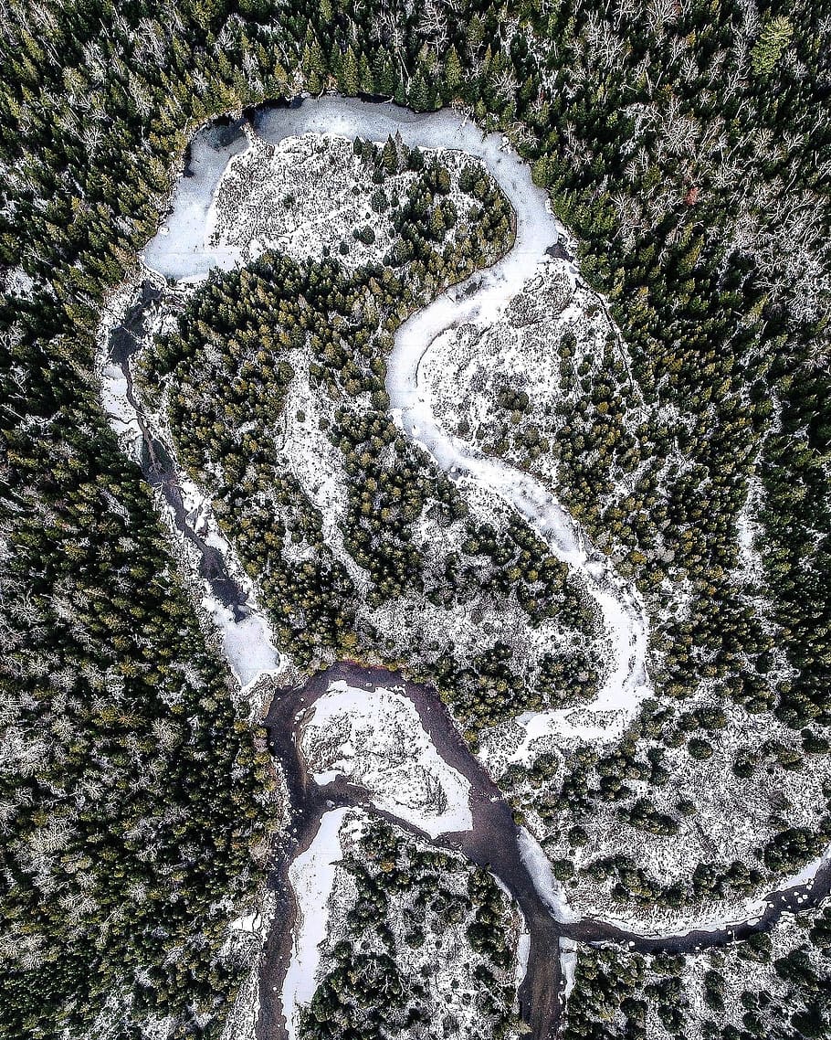 bird's-eye view of forest, aerial photography of river in the middle of the forest HD wallpaper