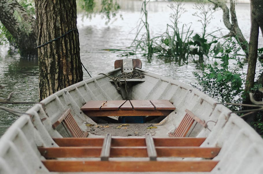brown and white boat on lake surrounded by trees, untitled, water HD wallpaper