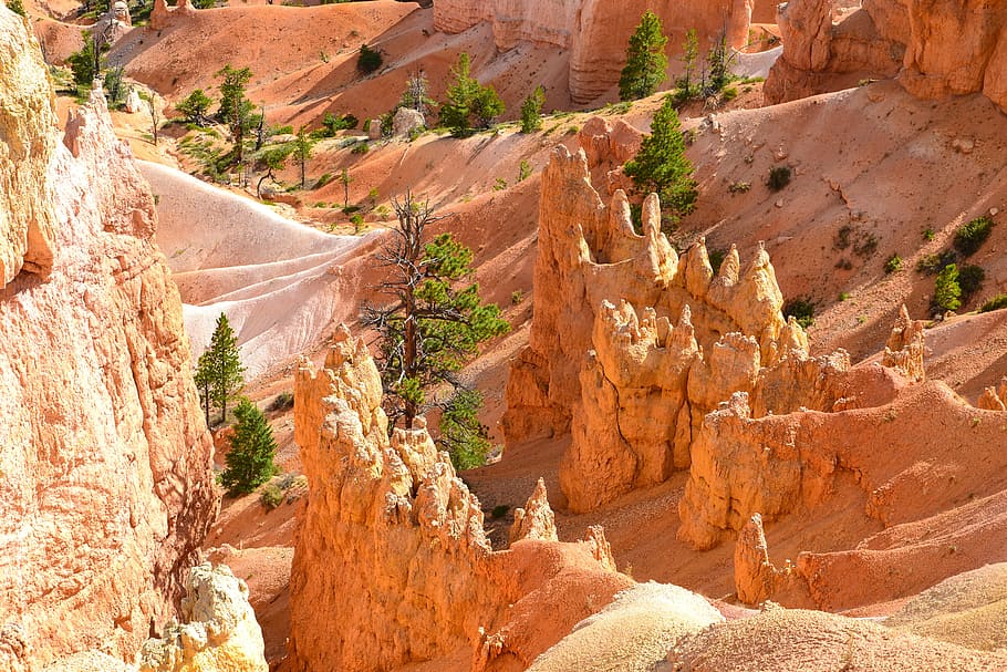 Bryce Canyon, Usa, National Park, hoodos, america, south west