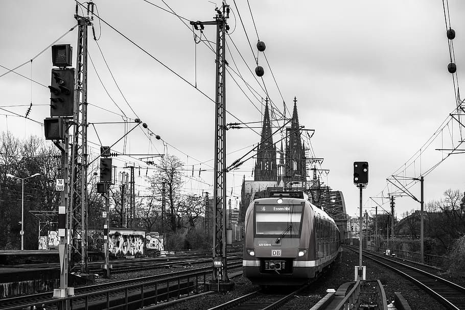 dom, train, cologne cathedral, railway, s bahn, bridge, hohenzollern bridge, HD wallpaper