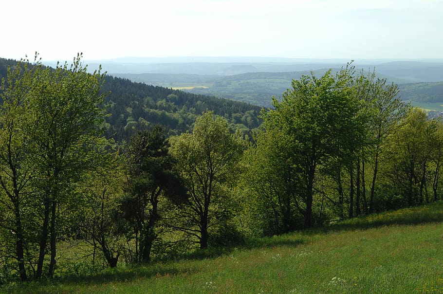Mountain, View, Rhön, Nature, dalherda, far, green, sunny HD wallpaper