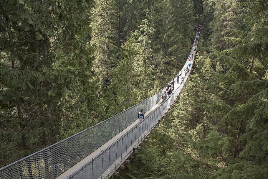 high-angle photography of people crossing hanging bridge surrounded with trees