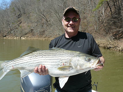 man carrying gray fish, fishing, catch, water, nature, hook HD wallpaper