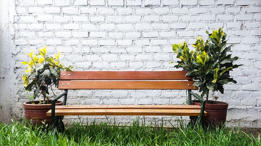 park, chairs, wall, plant, flower, nature, flowering plant HD wallpaper