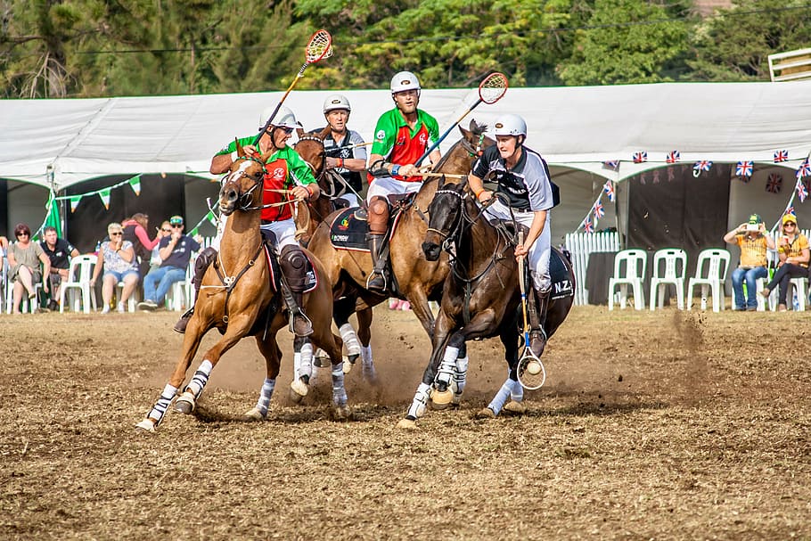 Horse Polo