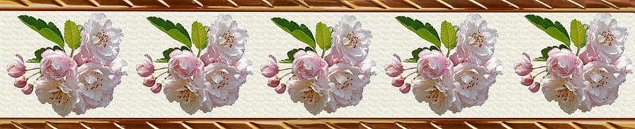 border, decorative strip, pattern, crabapple, in a row, no people HD wallpaper