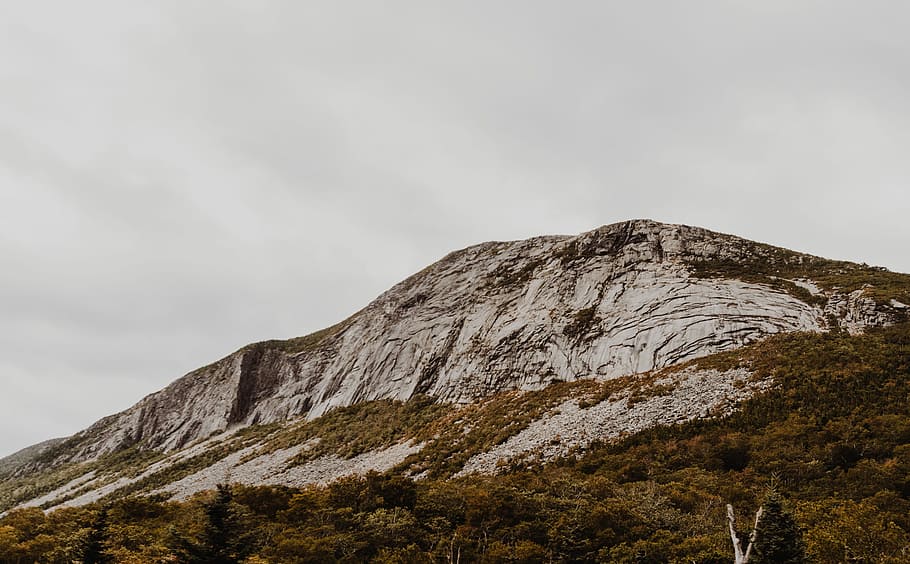 landscape photography of mountain, mountain under clear sky, tree HD wallpaper
