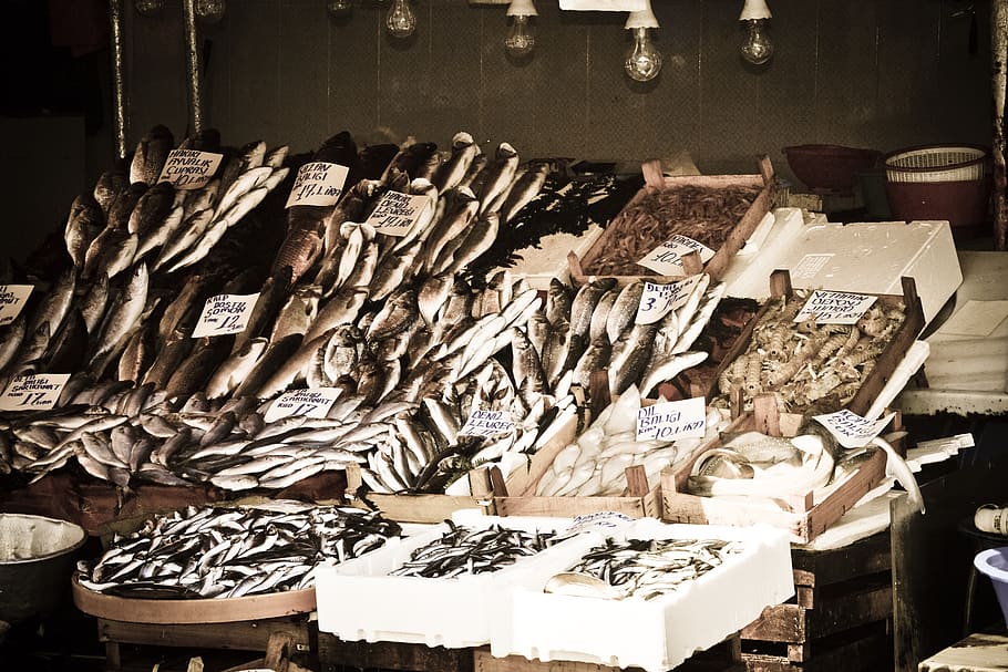 istanbul, market, turkey, bazaar, seafood, fish, trade, shop, HD wallpaper