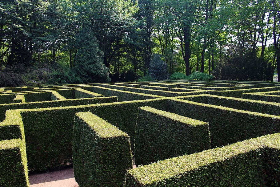 garden maze wallpaper