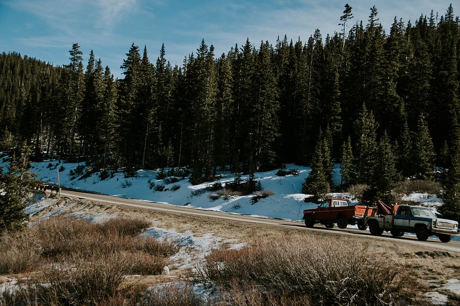 green single cab towing orange single cab, two pickup trucks travelling on road beside pine trees at daytime HD wallpaper