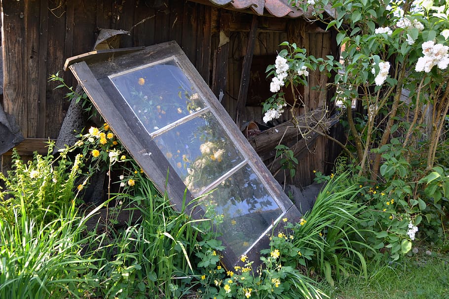 old, old window, atmosphere, still life, garden, wild, mirroring HD wallpaper