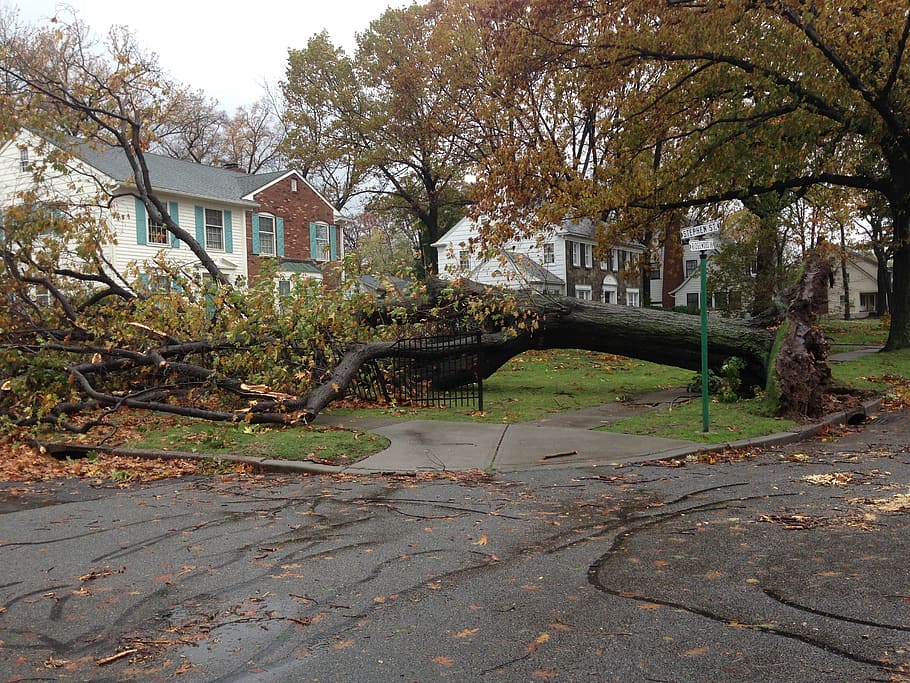 fallen, tree, sandy, hurricane, hurricane sandy, damage, architecture HD wallpaper