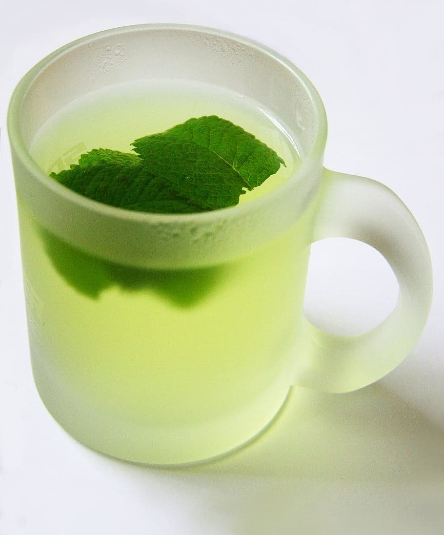 white translucent mug filled with mint tea, Peppermint Tea HD wallpaper