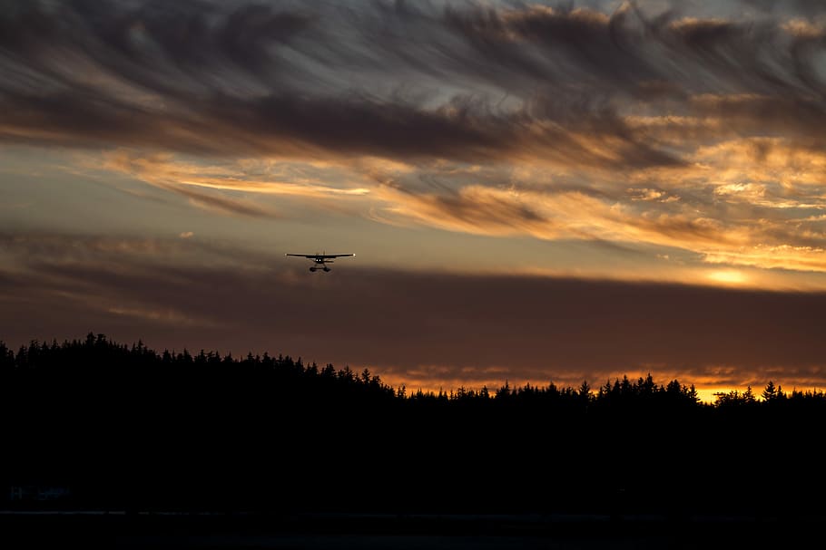 biplane on air above silhouette of trees during golden hour, jet flying in mid air HD wallpaper
