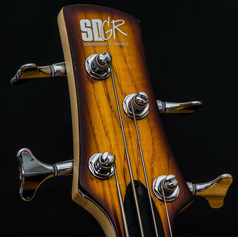 brown SD GR guitar headstock, bass guitar, ibanez, srx530-bbt, HD wallpaper