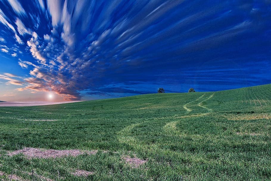 clouds, grass, meadow, nature, panorama, sky, royalty  images HD wallpaper