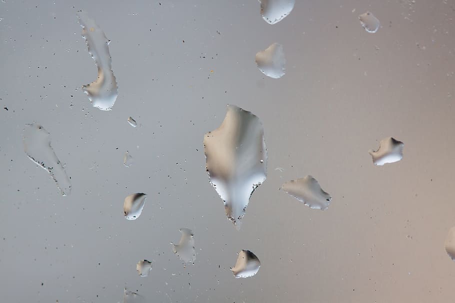 Raindrop, Window, Drip, Wet, beaded, macro, backgrounds, no people HD wallpaper