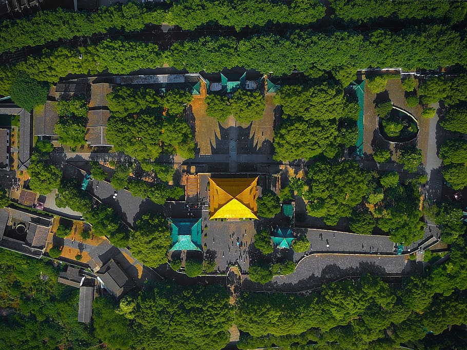 yellow house surrounded by trees, bird's eye view of temple shrine daytime, HD wallpaper