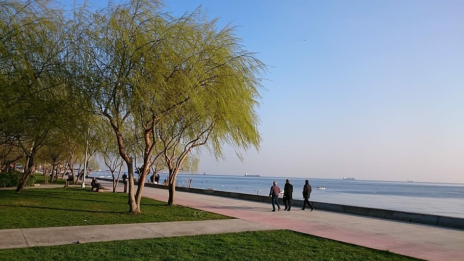 Istanbul, Eagle, Beach, sea, people, outdoors, nature, travel Locations HD wallpaper