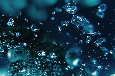 portrait of splash of water, drop, abstract, nature, backgrounds HD wallpaper