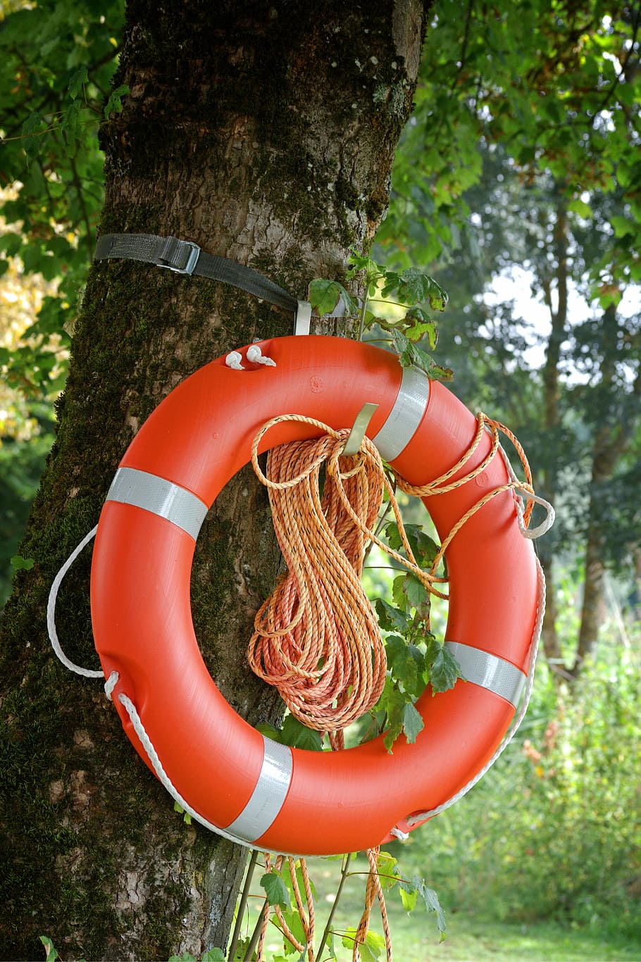 orange pool float, lifebelt, ring, rescue, swimming ring, not, HD wallpaper