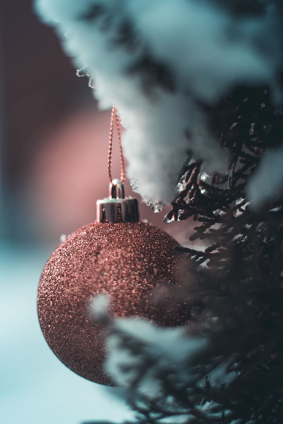 selective focus photography of bauble, selective focus photography of bauble hanging on tree HD wallpaper