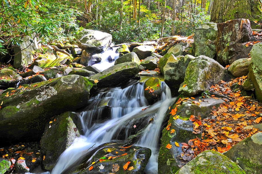 time-lapse photography of stream, waterfall, river, natural HD wallpaper