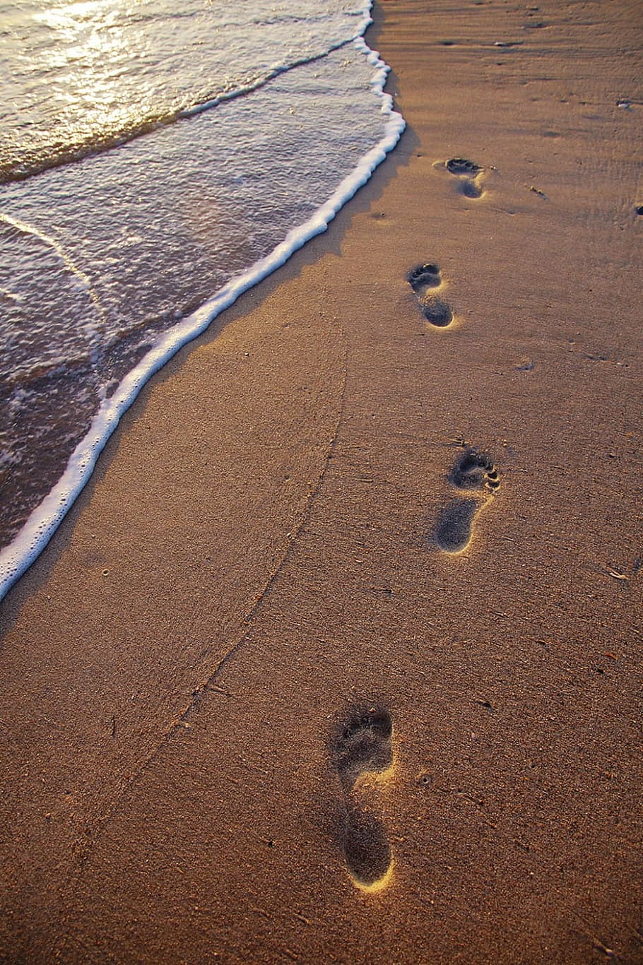 footprints in sand near seawave, beach, brown, foots, purple, HD wallpaper