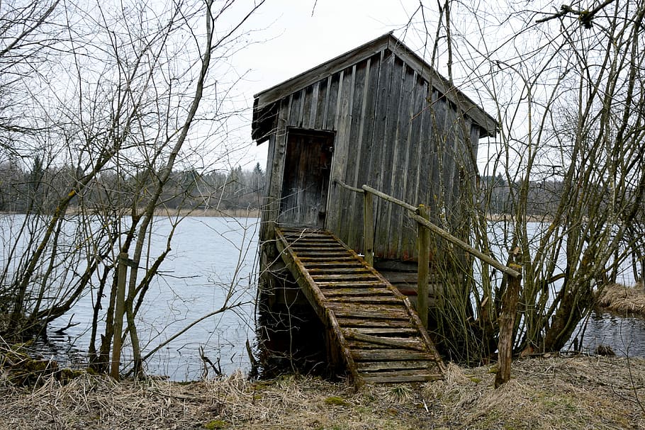 Hut, Log Cabin, Lonely, Old, Nature, lake, waters, autumn, rots, HD wallpaper