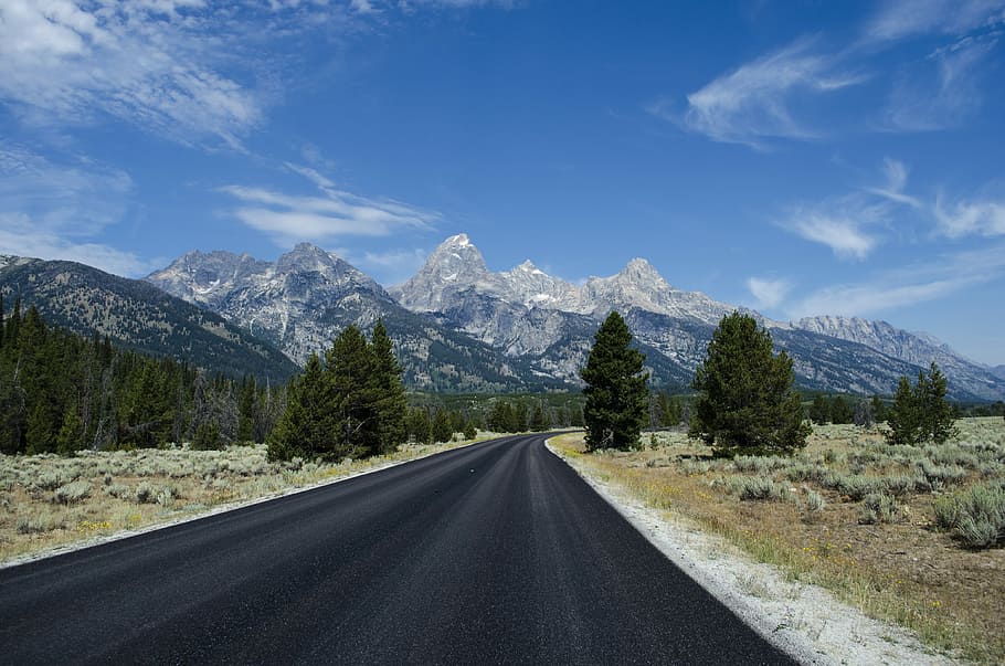 gray asphalt road under blue sunny sky, empty highway in between pine trees overlooking mountain under blue sky at daytime