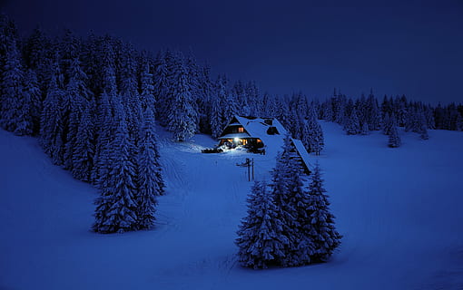 house surrounded by pine trees at nighttime, snow, winter, mountains HD wallpaper