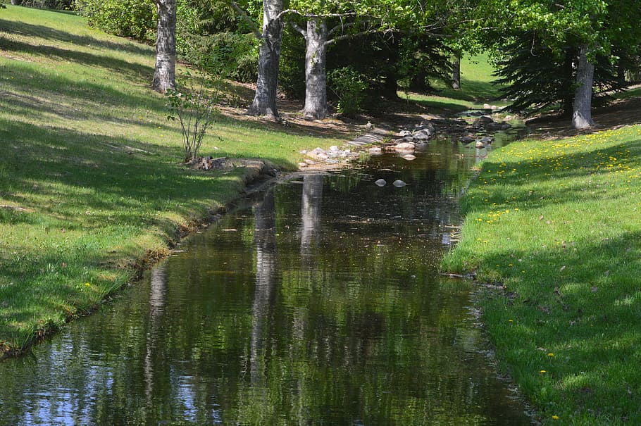 stream, reflection, trees, park, water, nature, landscape, outdoors HD wallpaper