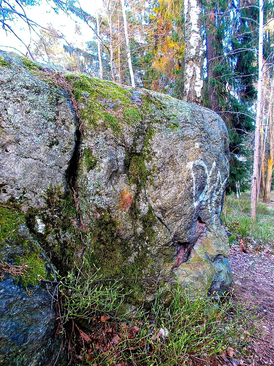 ossified, children, enchanted, stone, nature, forest, crying HD wallpaper