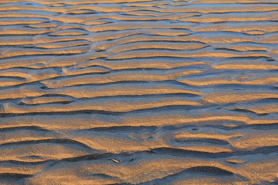 closeup photo of brown surface, Sand, Ripples, Lines, Ridge, wave pattern, HD wallpaper